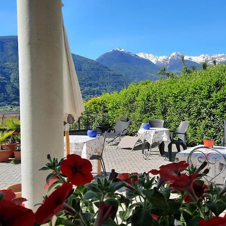 B&B Il Grappolo Bianzone Dış mekan fotoğraf