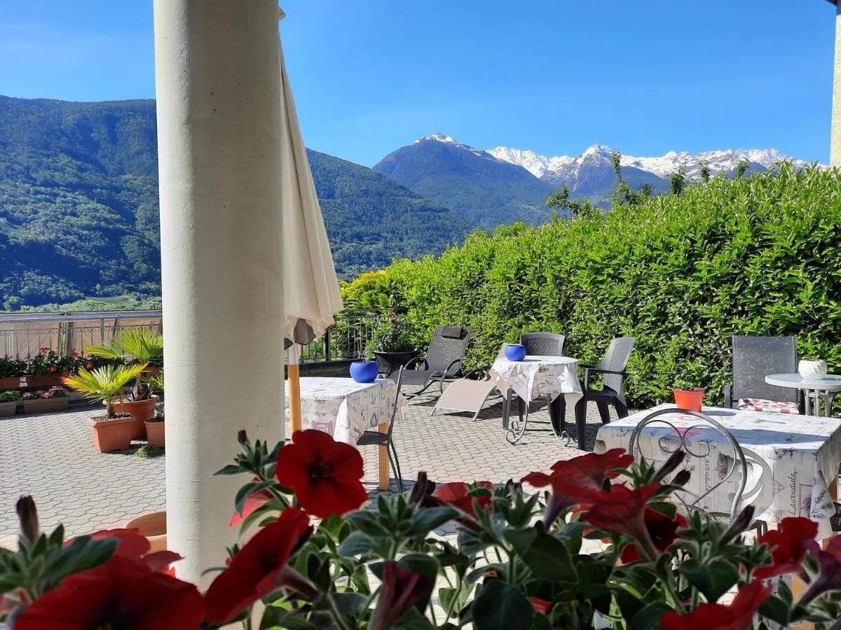 B&B Il Grappolo Bianzone Dış mekan fotoğraf