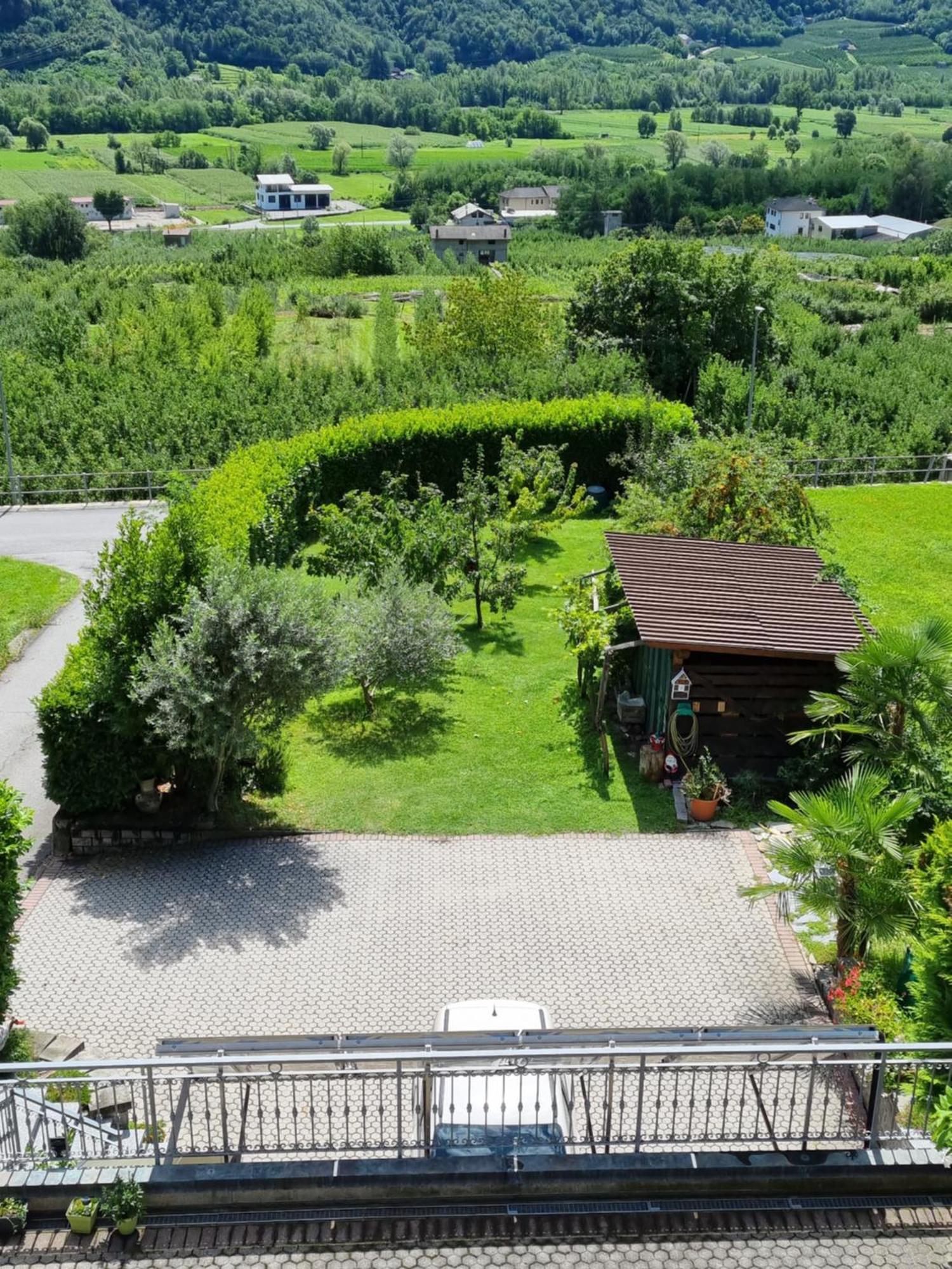 B&B Il Grappolo Bianzone Dış mekan fotoğraf