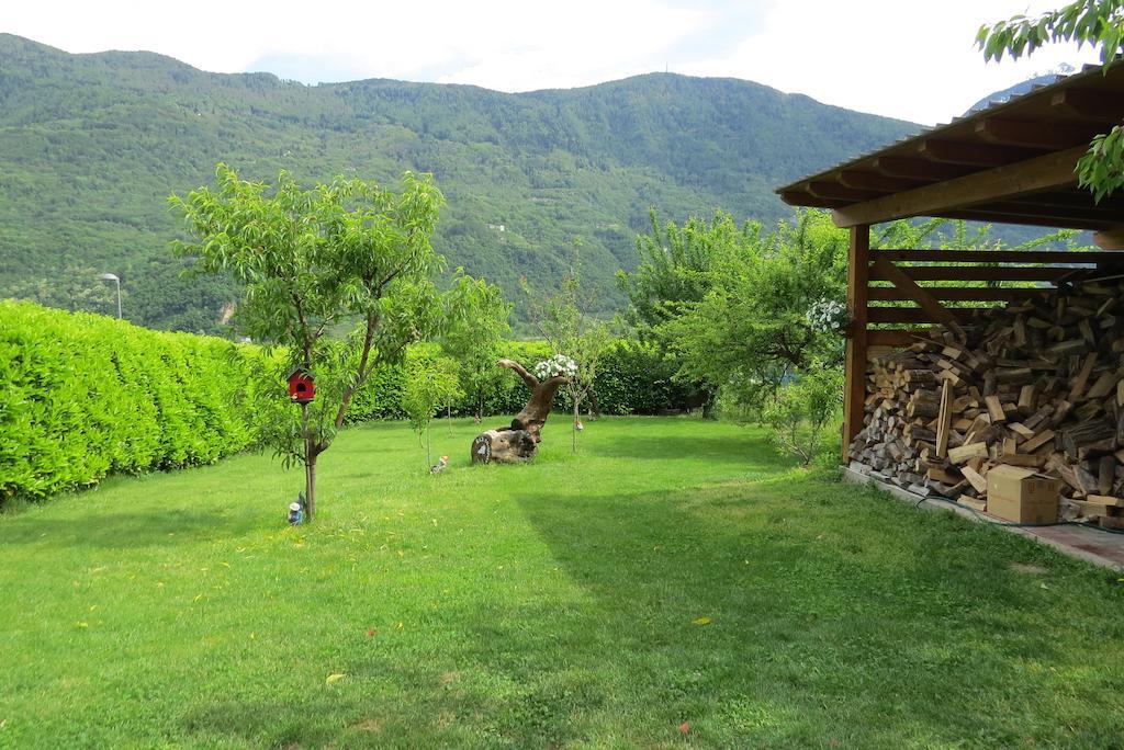 B&B Il Grappolo Bianzone Dış mekan fotoğraf