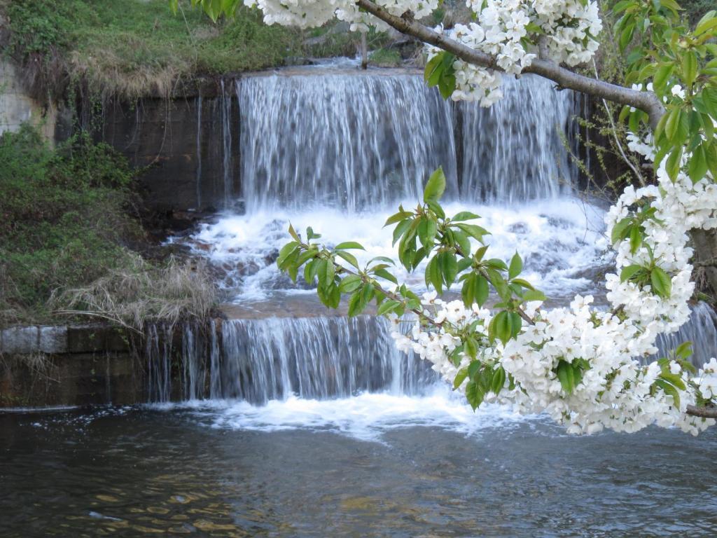 B&B Il Grappolo Bianzone Dış mekan fotoğraf
